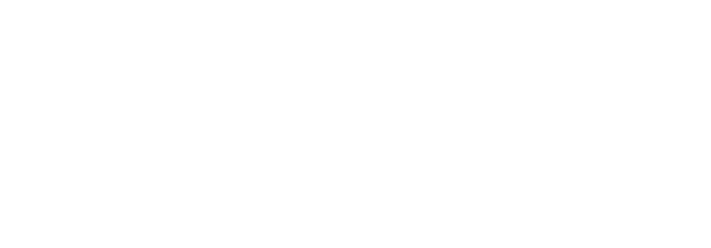 logo-ferky
